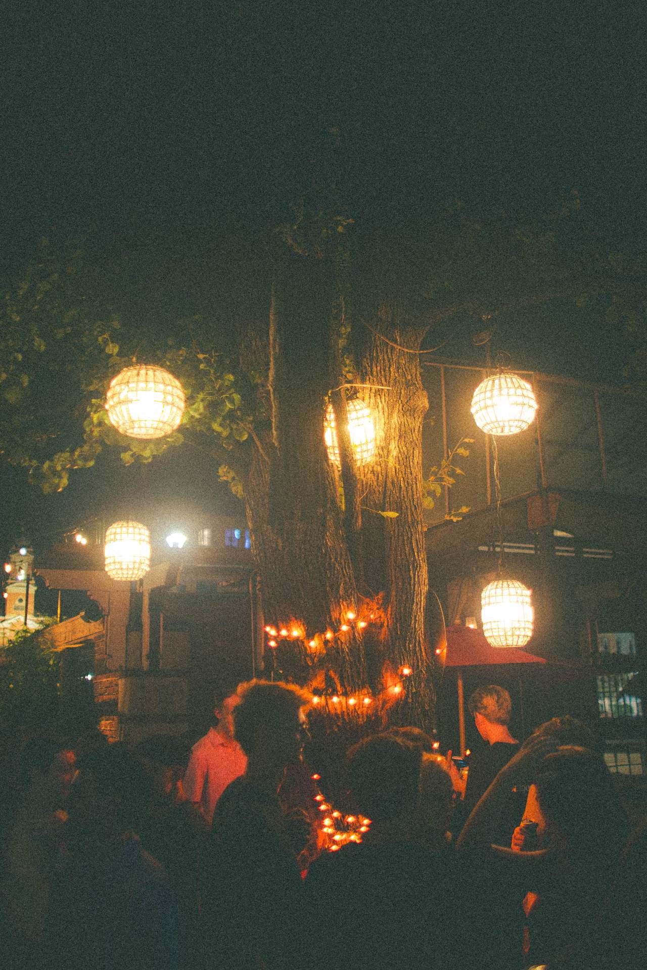 foreign policy crowd beneath the lanterns at rosedale